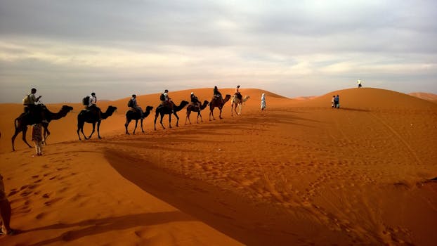 Ultimate Guide to Planning Your Sahara Desert Adventure Tour